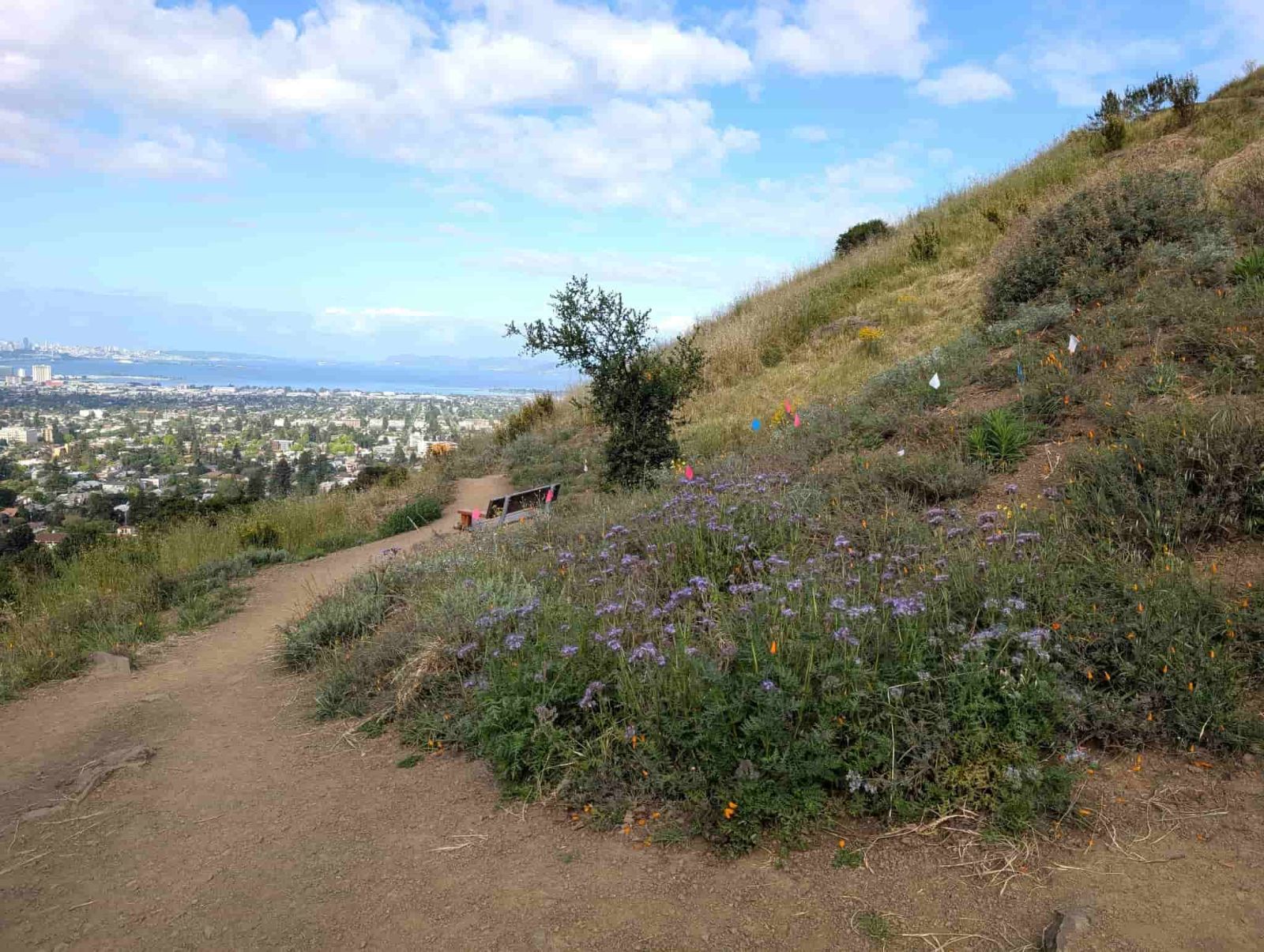 Derby%20Canyon%20Views_April%202026_RJSC_150KB.jpg