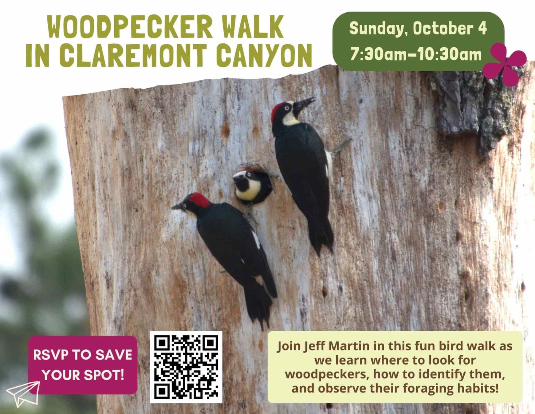 Nature%20Walk%20-%20Woodpecker%20Walk%20Oct%204%202026.jpg